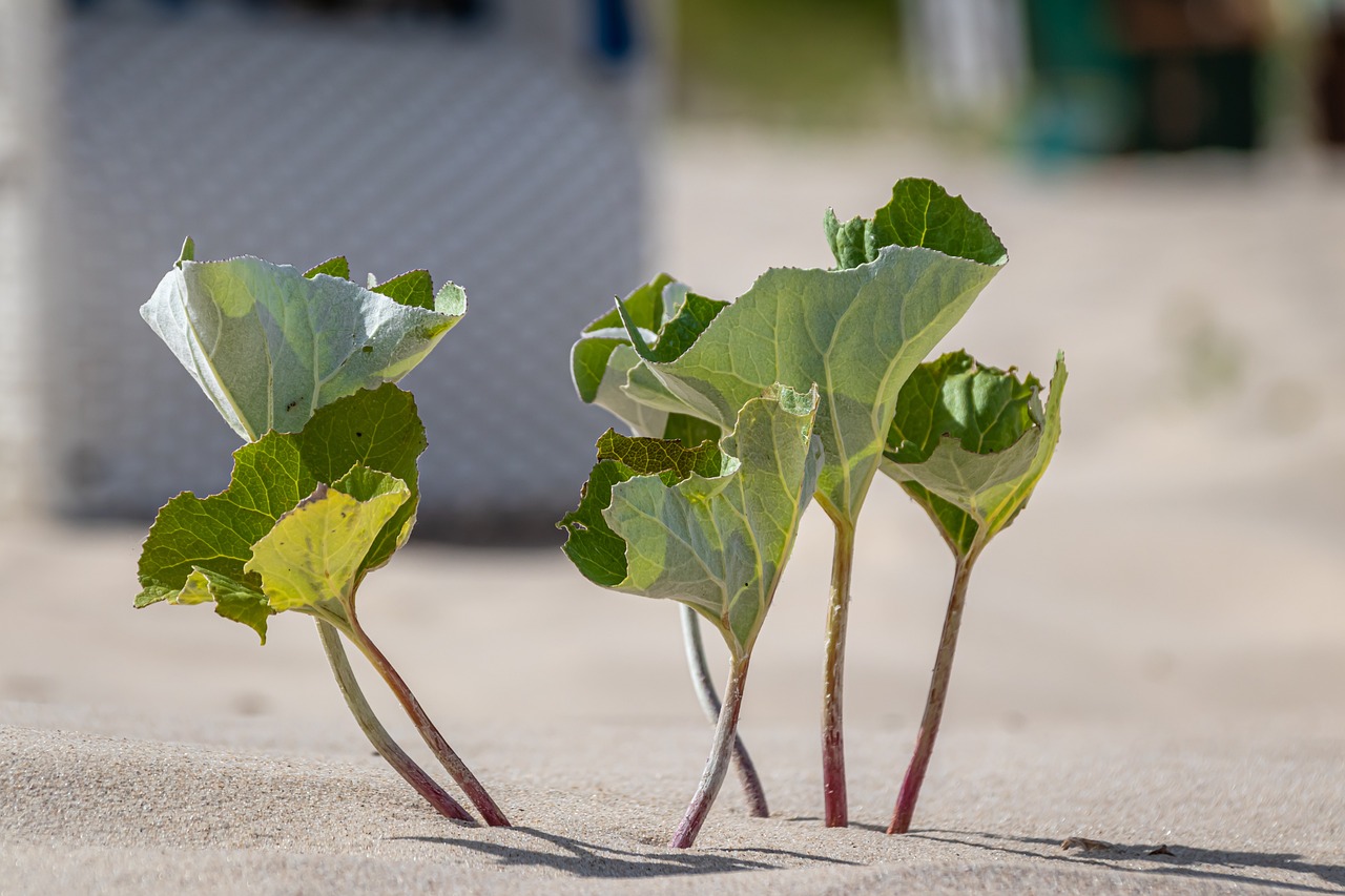 How Does Resilience Help In Overcoming Addictions?